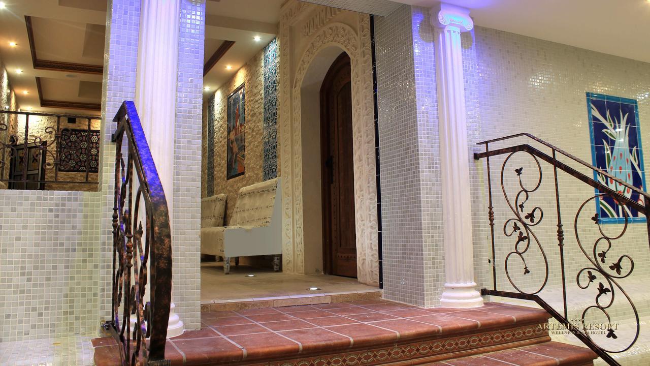 Artemis Resort Wellness Hotel Штурово Экстерьер фото