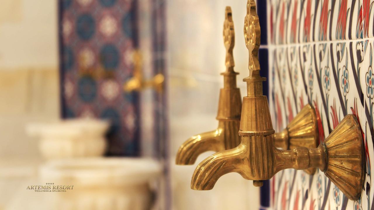 Artemis Resort Wellness Hotel Штурово Экстерьер фото