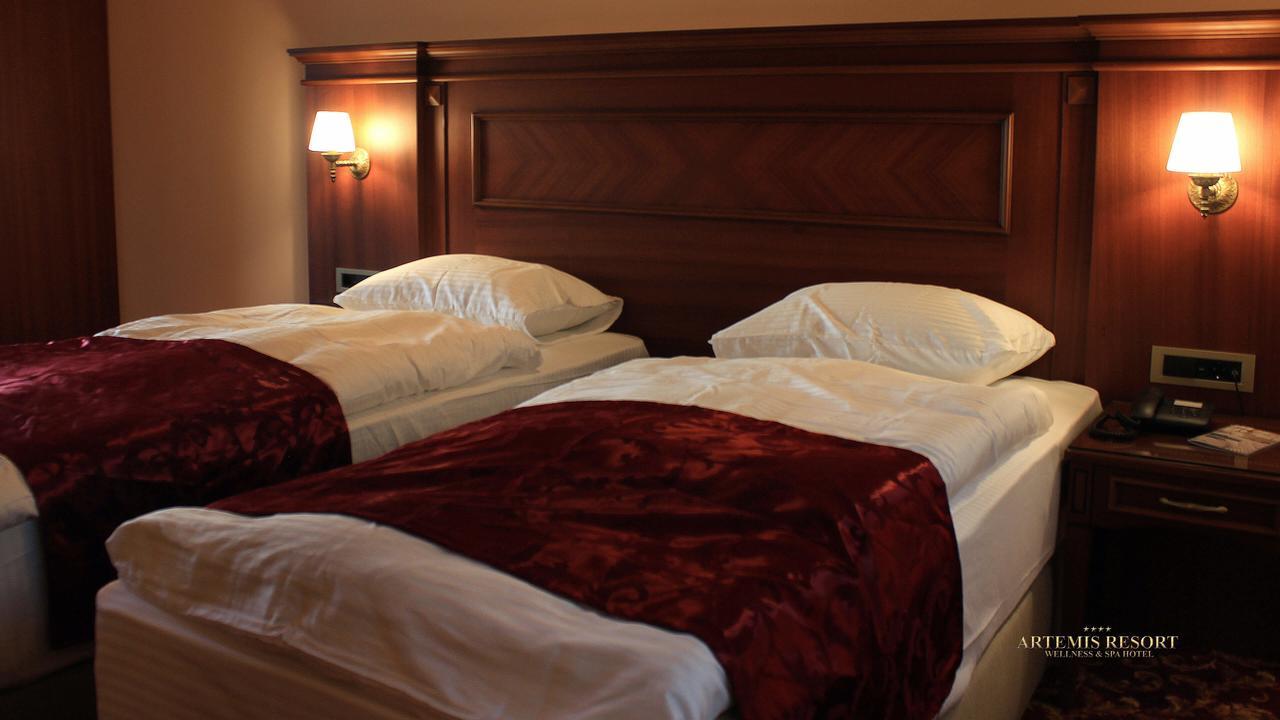 Artemis Resort Wellness Hotel Штурово Экстерьер фото