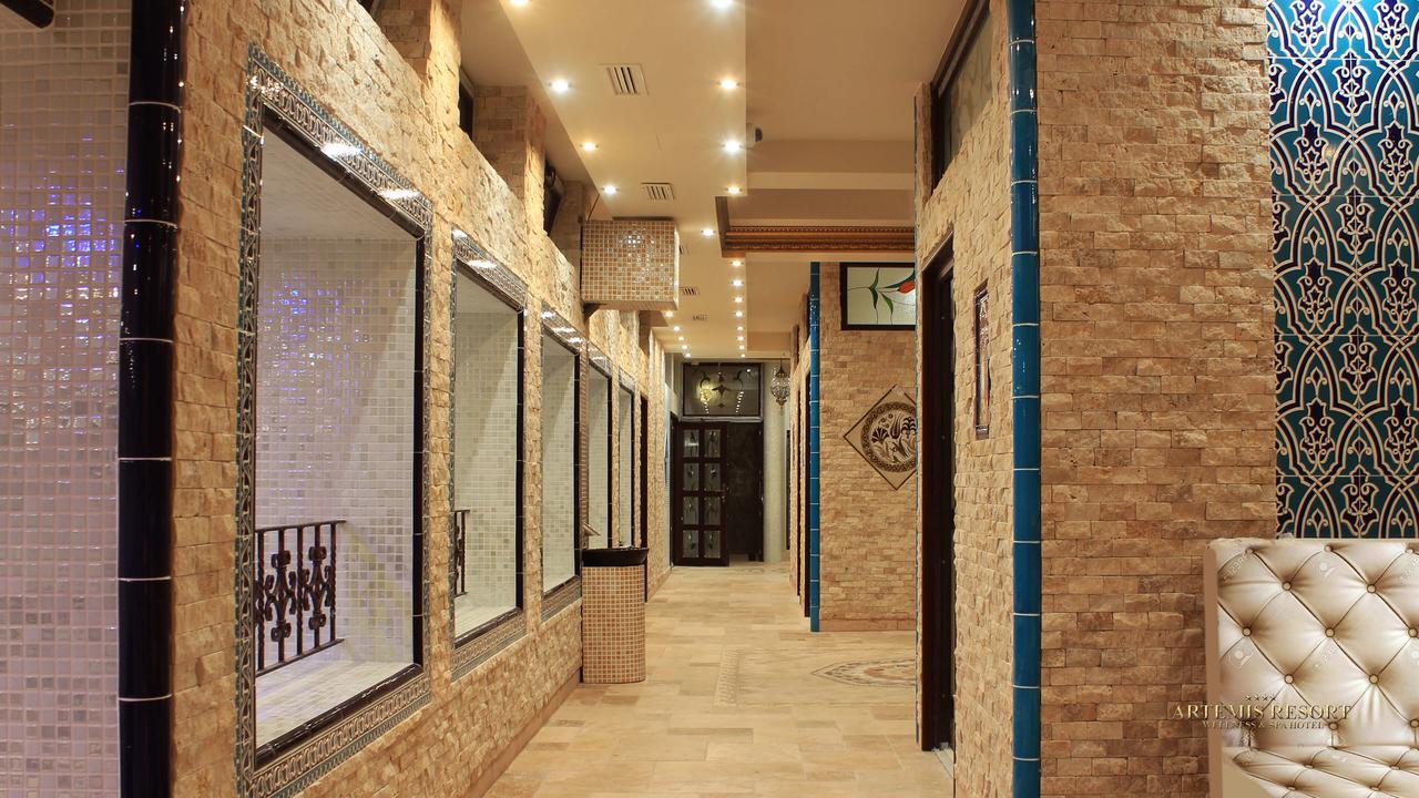 Artemis Resort Wellness Hotel Штурово Экстерьер фото