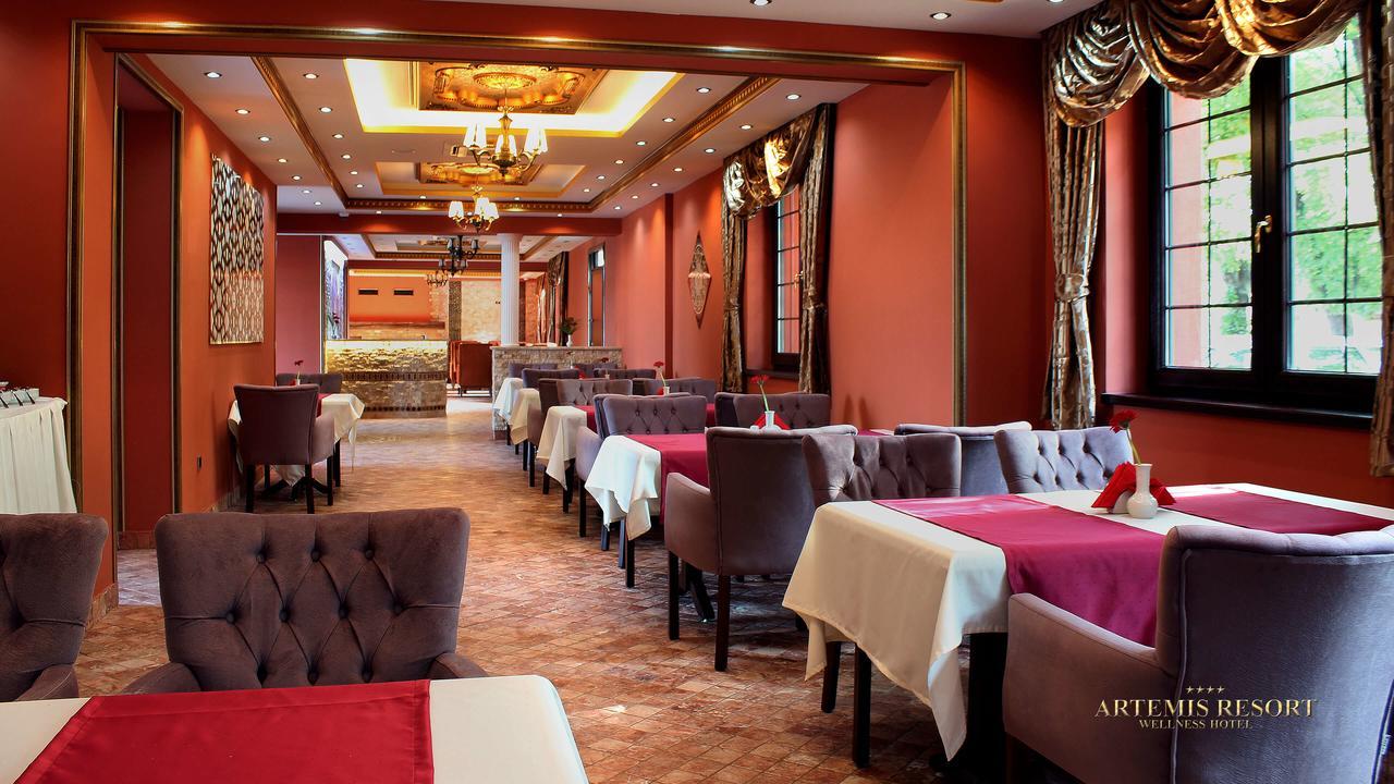 Artemis Resort Wellness Hotel Штурово Экстерьер фото
