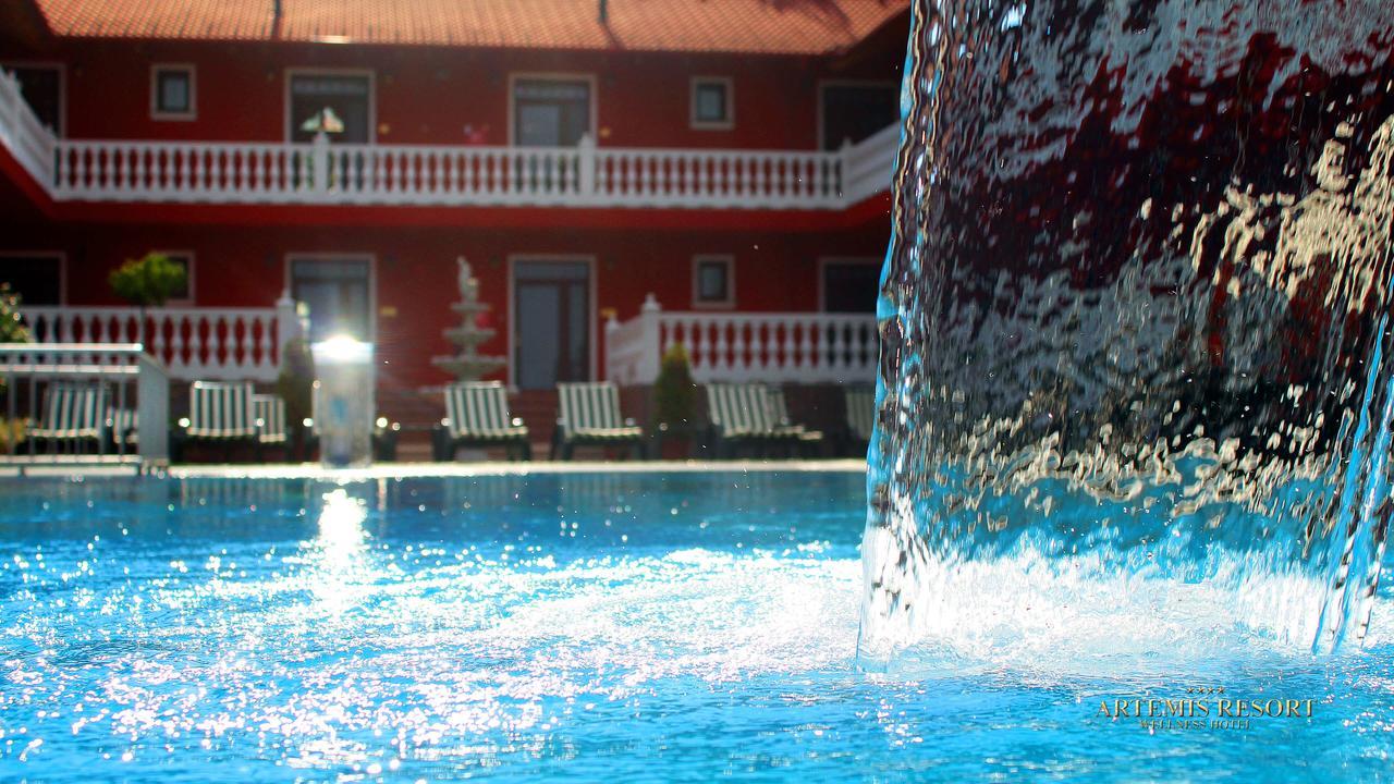 Artemis Resort Wellness Hotel Штурово Экстерьер фото
