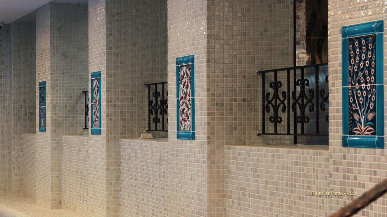 Artemis Resort Wellness Hotel Штурово Экстерьер фото