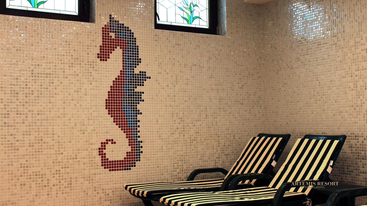 Artemis Resort Wellness Hotel Штурово Экстерьер фото