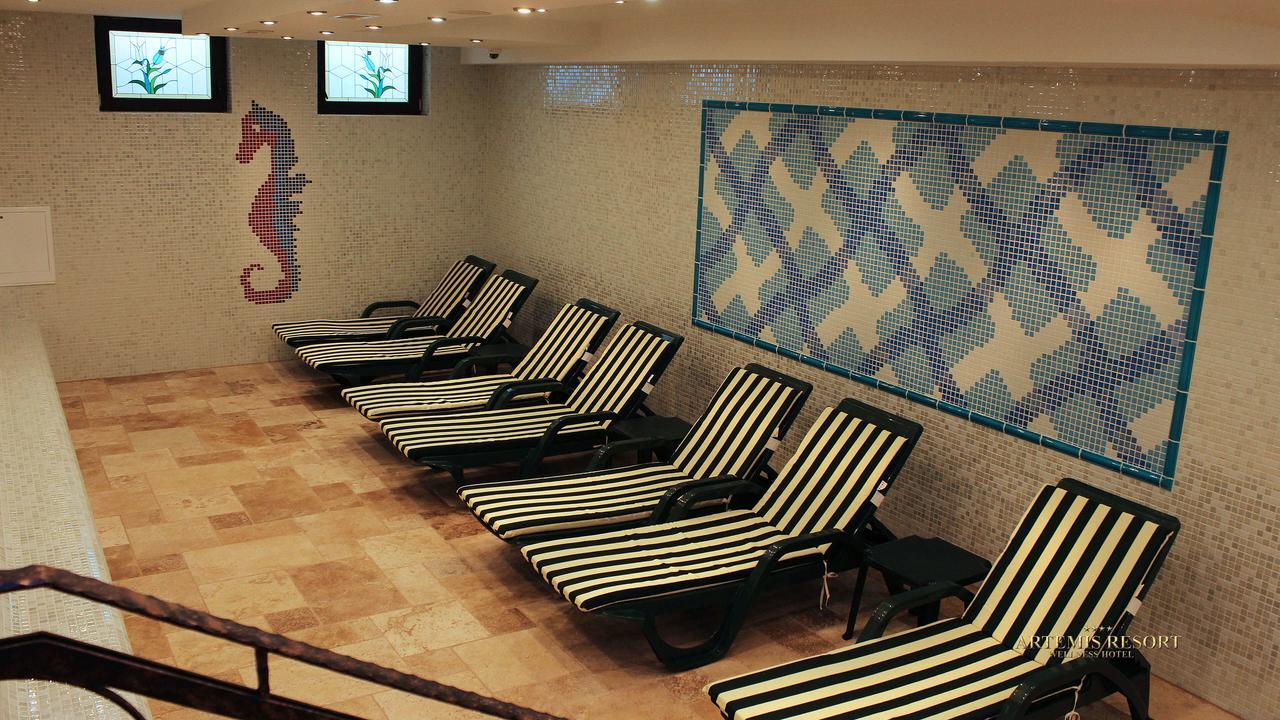 Artemis Resort Wellness Hotel Штурово Экстерьер фото
