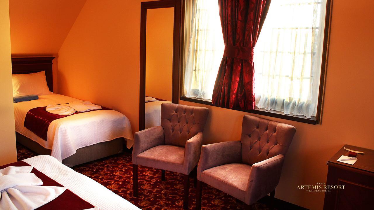 Artemis Resort Wellness Hotel Штурово Экстерьер фото