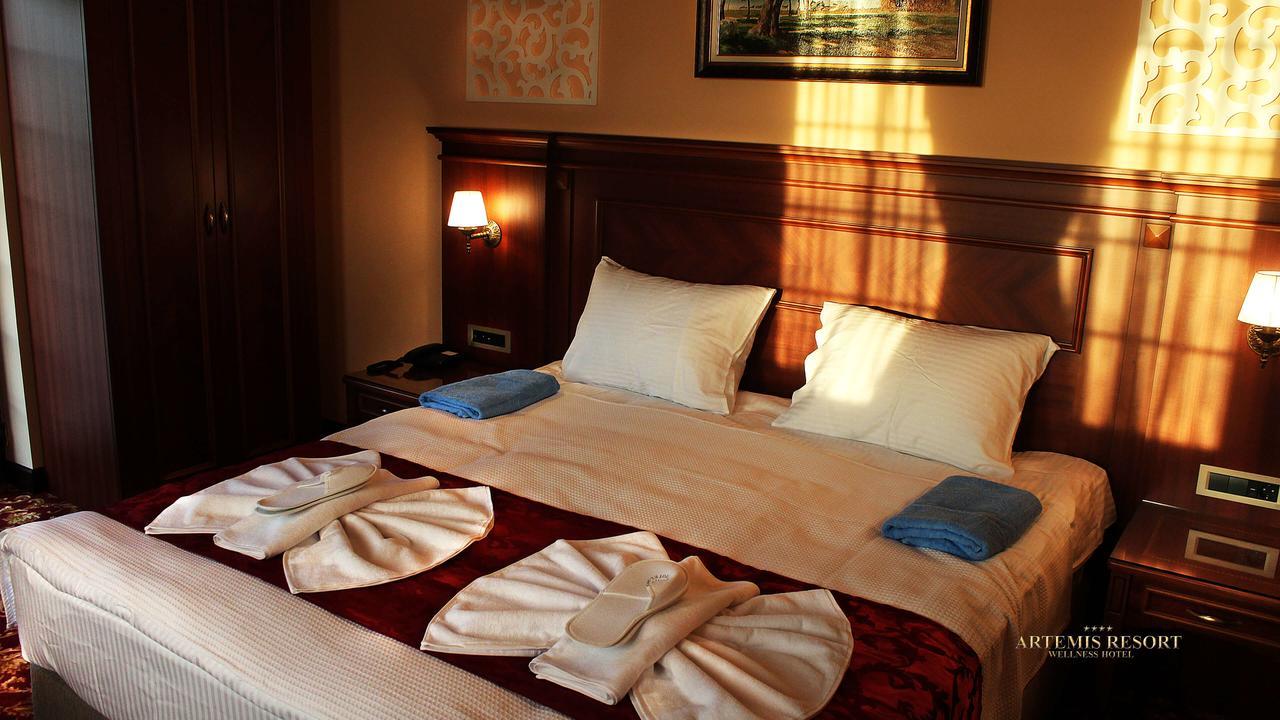 Artemis Resort Wellness Hotel Штурово Экстерьер фото