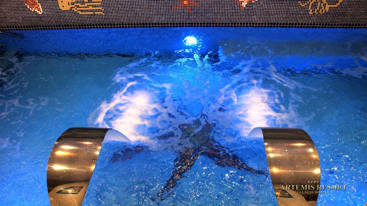Artemis Resort Wellness Hotel Штурово Экстерьер фото